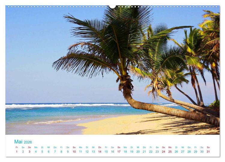 Produktbild: Unter Palmen 2026. Impressionen von den sch&ouml;nsten Str&auml;nden der Welt (hochwertiger Premium Wandkalender 2026 DIN A2 quer), Kunstdruck in Hochglanz