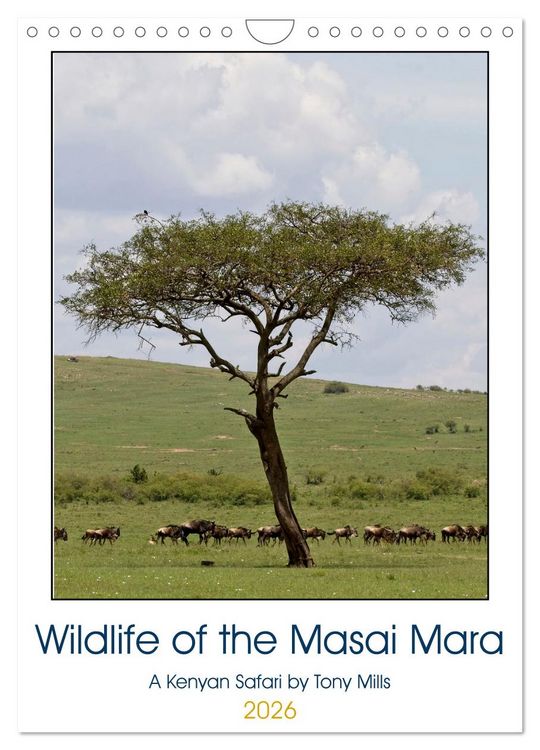 Produktbild: Wildlife of the Masai Mara (Wall Calendar 2026 DIN A4 portrait), CALVENDO 12 Month Wall Calendar