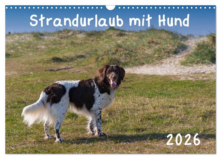 Produktbild: Strandurlaub mit Hund (Wandkalender 2026 DIN A3 quer), CALVENDO Monatskalender