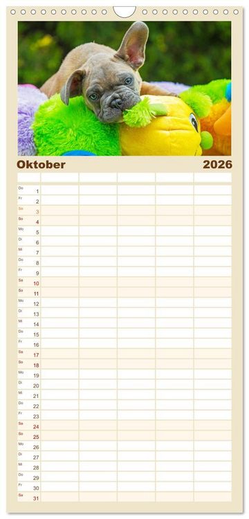 Produktbild: Familienplaner 2026 - Kleine Helden - Franz&ouml;sische Bulldoggen mit 5 Spalten (Wandkalender, 21 x 45 cm) CALVENDO