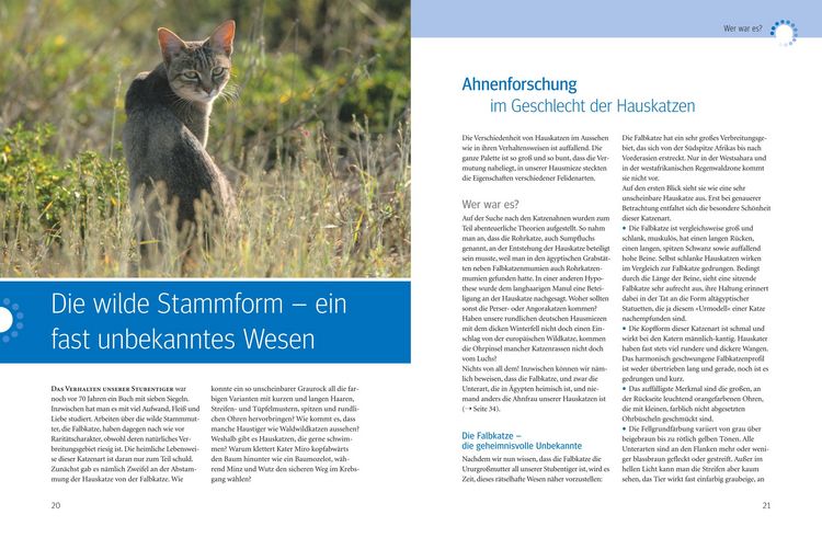 Produktbild: Was Katzen wirklich wollen