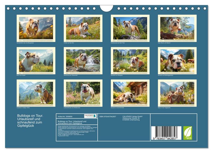 Produktbild: Bulldogs on Tour. Urlaubsreif und schnaufend zum Gipfelgl&uuml;ck (Wandkalender 2026 DIN A4 quer), CALVENDO Monatskalender