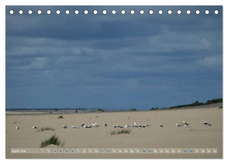 Produktbild: Texel. Neue D&uuml;nen (Tischkalender 2026 DIN A5 quer), CALVENDO Monatskalender