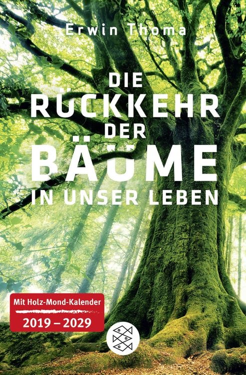 Die Rückkehr der Bäume in unser Leben