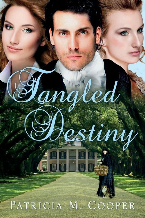 Produktbild: Tangled Destiny