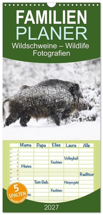 Produktbild: Familienplaner 2027 - Wildschweine &ndash; Wildlife Fotografien mit 5 Spalten (Wandkalender, 21 x 45 cm) CALVENDO