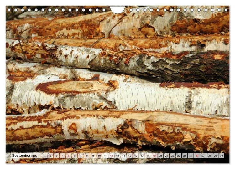 Produktbild: HOLZ - Stapel und St&auml;mme (Wandkalender 2027 DIN A4 quer), CALVENDO Monatskalender