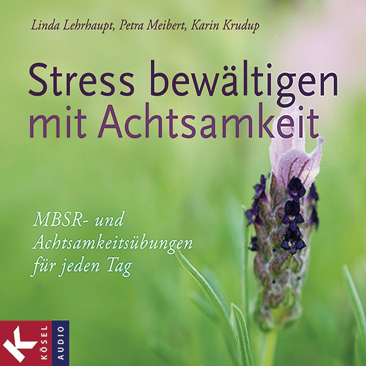 Produktbild: Stress bew&auml;ltigen mit Achtsamkeit