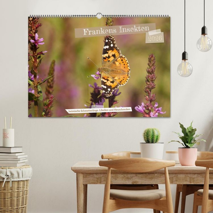 Produktbild: Frankens Insekten (Wandkalender 2026 DIN A2 quer), CALVENDO Monatskalender