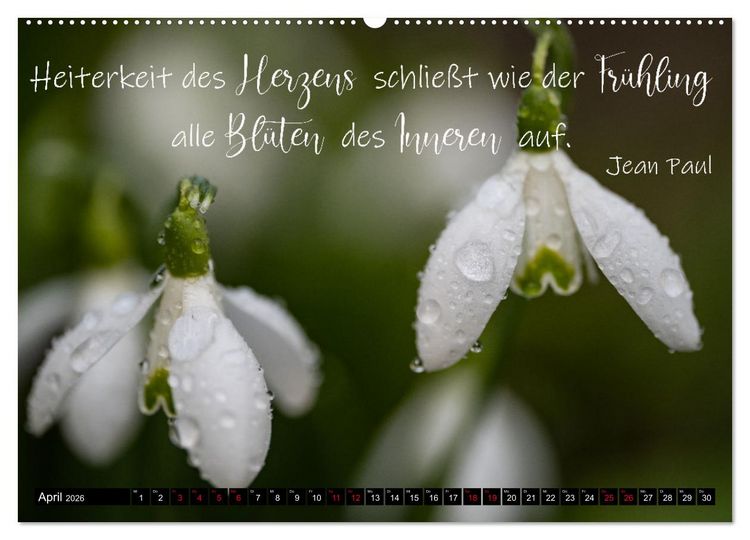 Produktbild: Bilder und Texte f&uuml;r die Seele (Wandkalender 2026 DIN A2 quer), CALVENDO Monatskalender