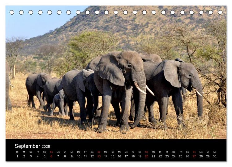 Produktbild: Afrika (Tischkalender 2026 DIN A5 quer), CALVENDO Monatskalender