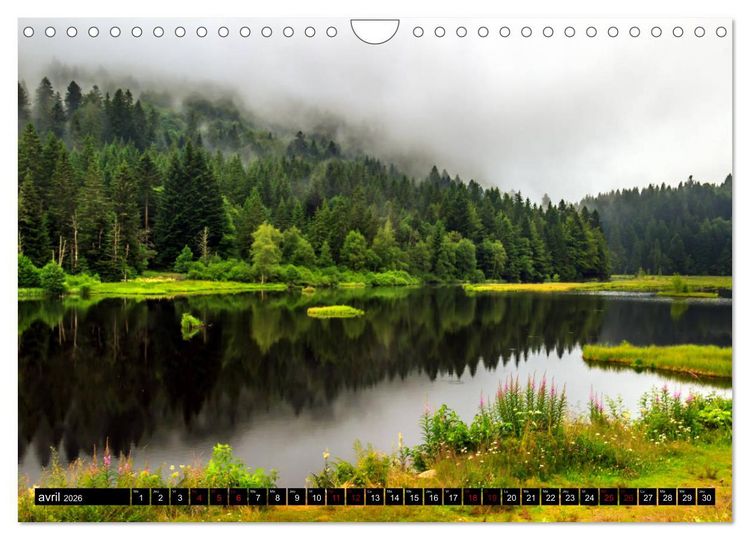 Produktbild: L'&eacute;t&eacute; dans les Vosges (Calendrier mural 2026 DIN A4 vertical), CALVENDO calendrier mensuel