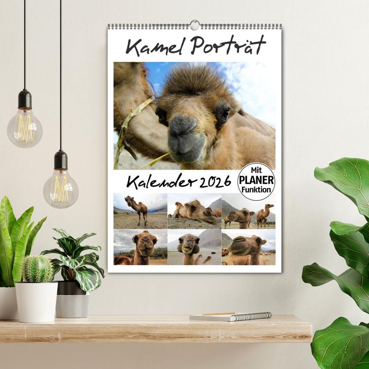 Produktbild: Kamel Portr&auml;t (Wandkalender 2026 DIN A2 hoch), CALVENDO Monatskalender