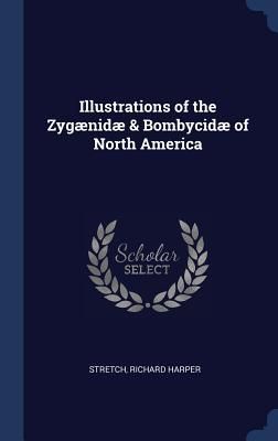 Produktbild: Illustrations of the Zyg&aelig;nid&aelig; & Bombycid&aelig; of North America