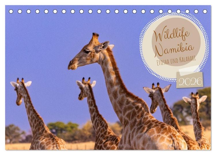 Produktbild: Wildlife Namibia - Etosha und Kalahari (Tischkalender 2026 DIN A5 quer), CALVENDO Monatskalender