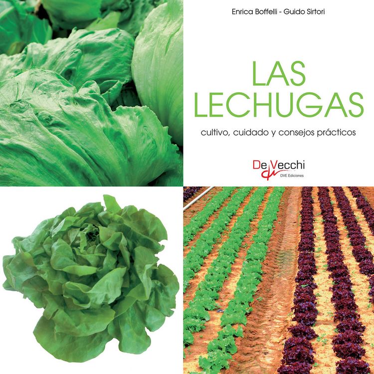 Produktbild: Las lechugas - cultivo, cuidado y condejos pr&aacute;cticos