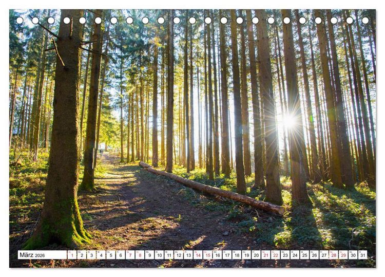 Produktbild: Idyllischer Schwarzwald (Tischkalender 2026 DIN A5 quer), CALVENDO Monatskalender