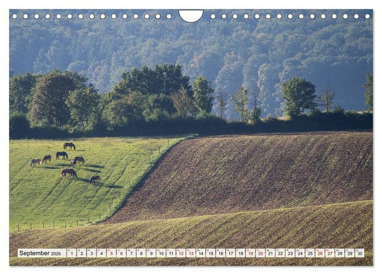 Produktbild: Sch&ouml;ner Kraichgau (Wandkalender 2026 DIN A4 quer), CALVENDO Monatskalender