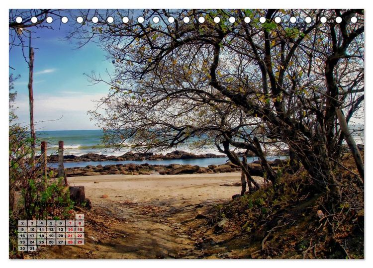 Produktbild: Nicaraguas faszinierende Flora & Fauna (Tischkalender 2026 DIN A5 quer), CALVENDO Monatskalender