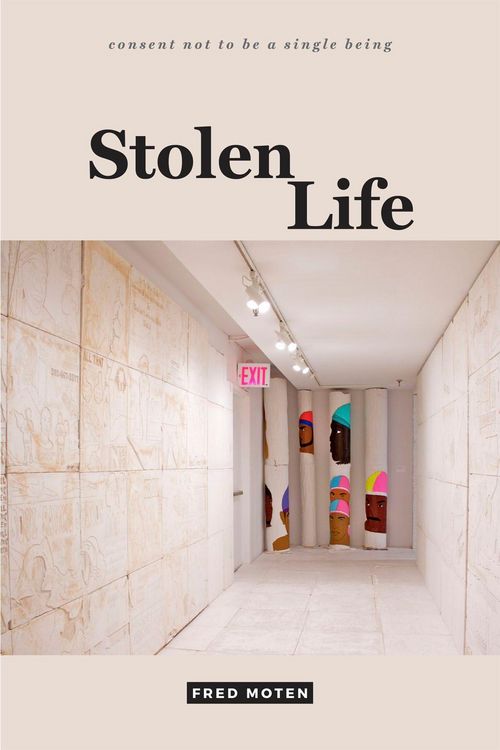 Produktbild: Stolen Life