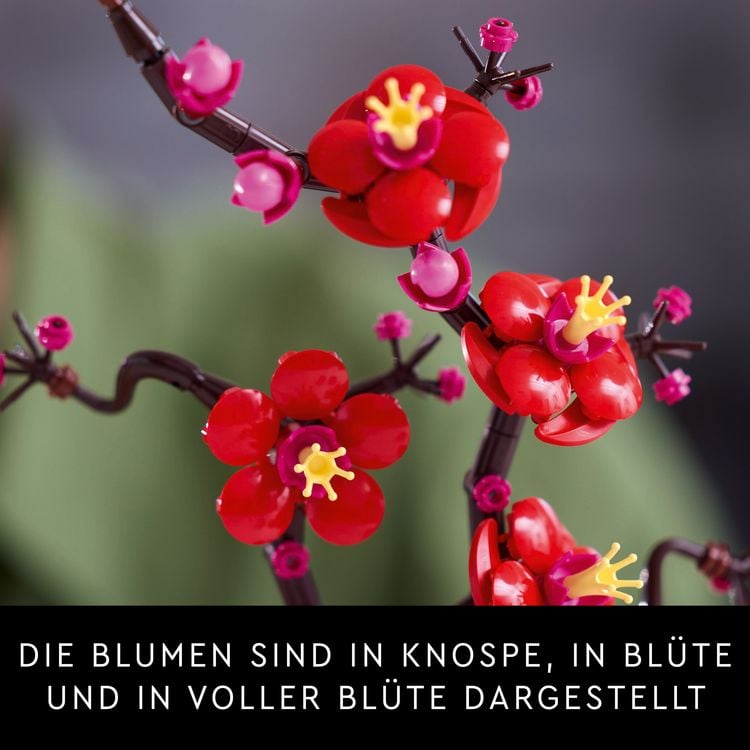 Produktbild: LEGO Botanicals Pflaumenbl&uuml;te - Kunstpflanzen f&uuml;r Erwachsene 10369