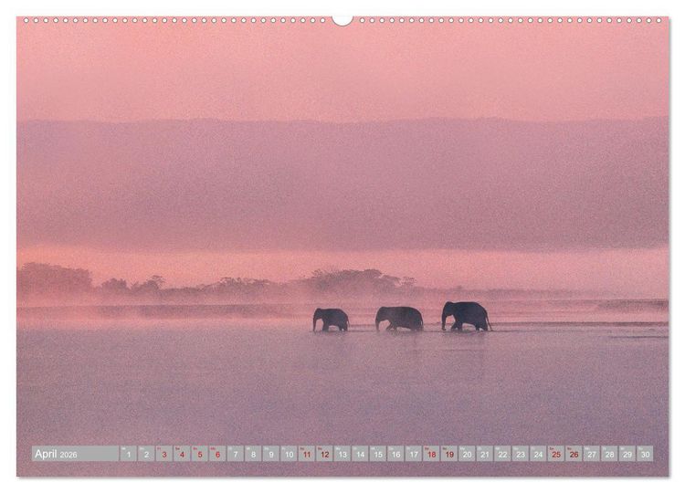 Produktbild: Spirit of Asia - Im Reich der guten Geister (hochwertiger Premium Wandkalender 2026 DIN A2 quer), Kunstdruck in Hochglanz