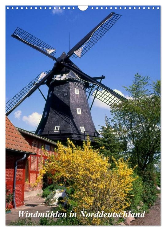 Produktbild: Windm&uuml;hlen in Norddeutschland (Wandkalender 2026 DIN A3 hoch), CALVENDO Monatskalender
