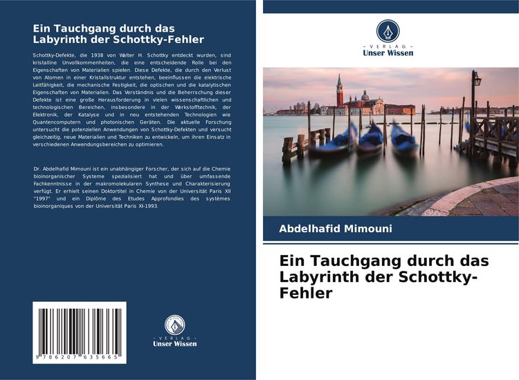 Produktbild: Ein Tauchgang durch das Labyrinth der Schottky-Fehler