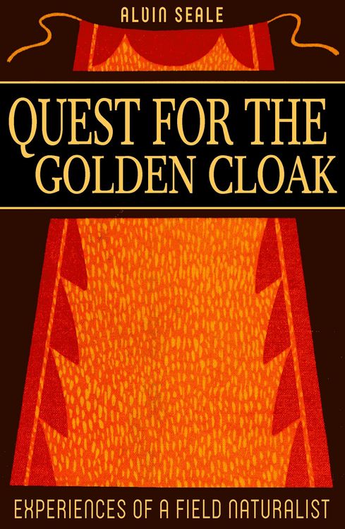 Produktbild: Quest for the Golden Cloak