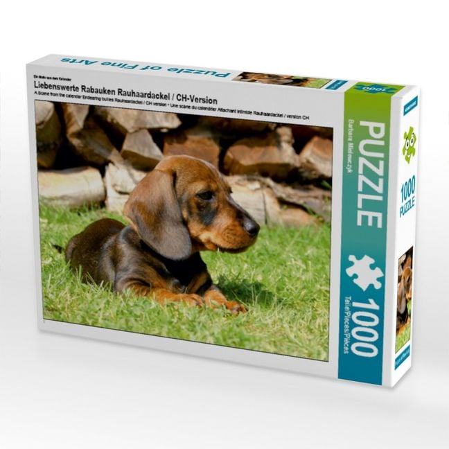 Produktbild: CALVENDO Puzzle Rauhaardackel Welpe | 1000 Teile Lege-Gr&ouml;&szlig;e 64x48cm Foto-Puzzle f&uuml;r gl&uuml;ckliche Stunden
