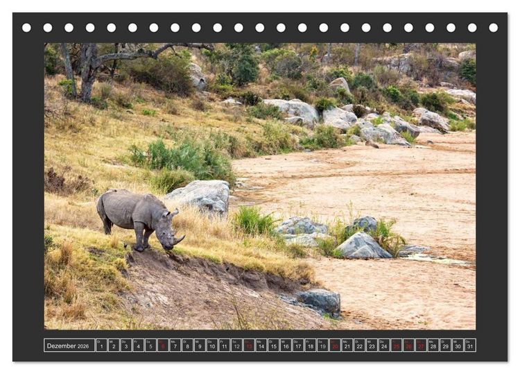 Produktbild: Das Wei&szlig;e Nashorn (Tischkalender 2026 DIN A5 quer), CALVENDO Monatskalender