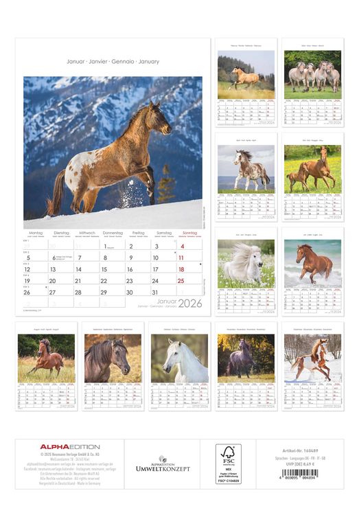 Pferde 2026 - Bildkalender 23,7x34 cm - Kalender mit Platz für Notizen - mit vielen Zusatzinformationen - Horses - Wandkalender - Alpha Edition
