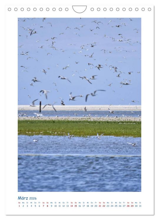 Produktbild: Texel - Momente die verzaubern (Wandkalender 2026 DIN A4 hoch), CALVENDO Monatskalender