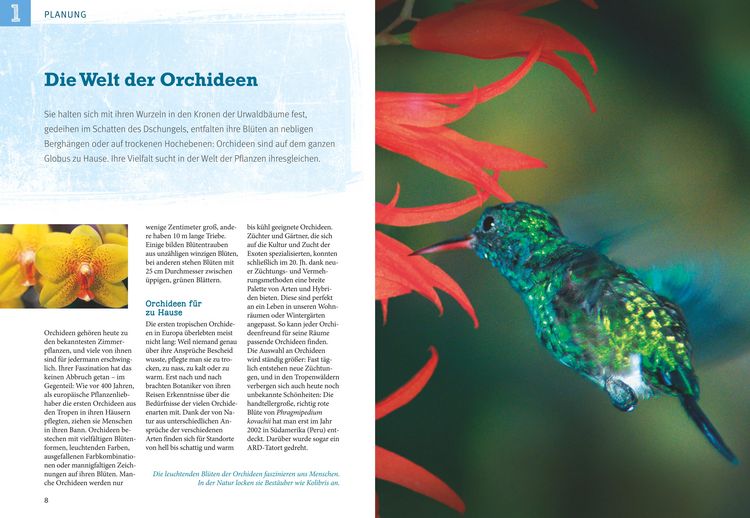 Produktbild: Orchideen pflegen