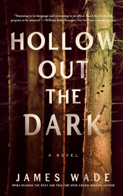 Produktbild: Hollow Out the Dark