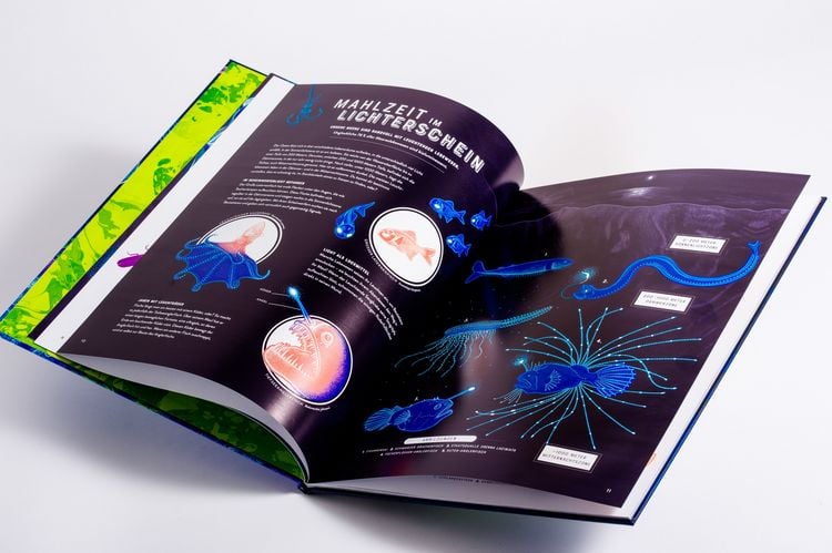 Produktbild: Glow &ndash; Das wundersame Leuchten der Natur