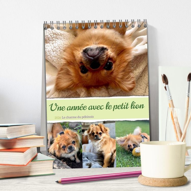 Produktbild: Une ann&eacute;e avec le petit lion - Le charme du p&eacute;kinois (Calendrier de bureau 2026 DIN A5 horizontal), CALVENDO calendrier mensuel
