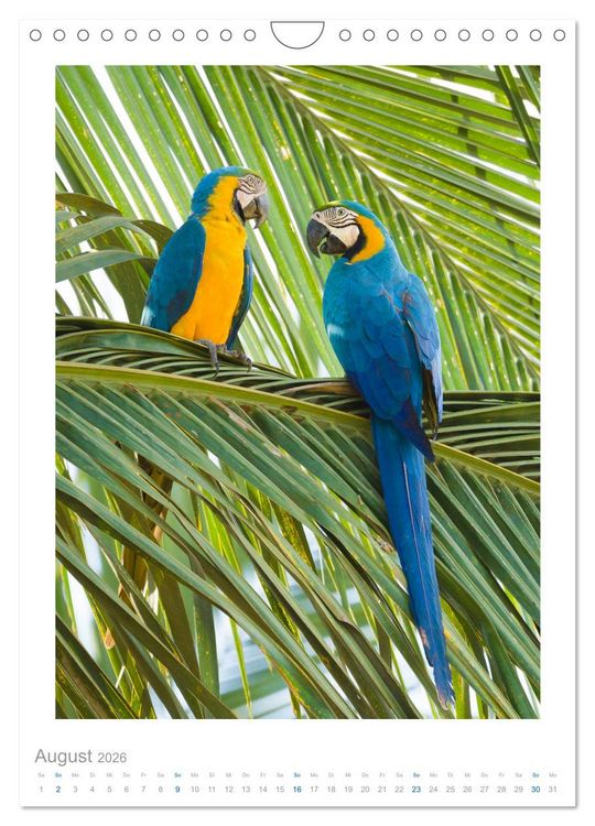 Produktbild: Pantanal &ndash; Einzigartiges Wildlife-Paradies (Wandkalender 2026 DIN A4 hoch), CALVENDO Monatskalender