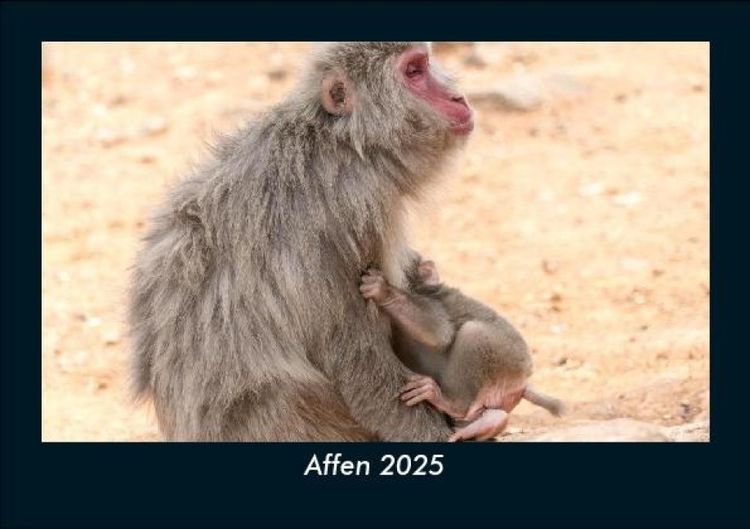 Produktbild: Affen 2025 Fotokalender DIN A5