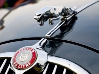 Produktbild: CALVENDO Puzzle K&uuml;hlerfigur Jaguar | 1000 Teile Lege-Gr&ouml;&szlig;e 64x48cm Foto-Puzzle f&uuml;r gl&uuml;ckliche Stunden