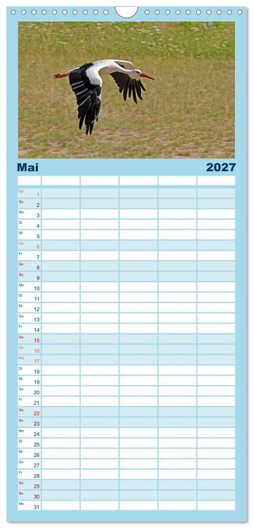 Produktbild: Familienplaner 2027 - V&ouml;gel im Flug - Akrobaten der L&uuml;fte mit 5 Spalten (Wandkalender, 21 x 45 cm) CALVENDO