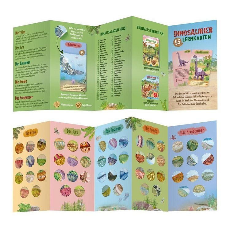 Produktbild: TR&Ouml;TSCH - 55 Lernkarten Dinosaurier