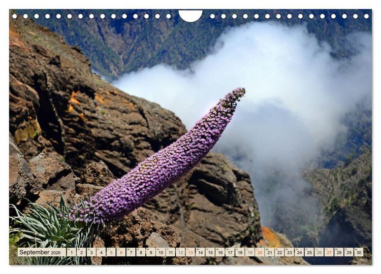 Produktbild: Magic Moments - LA PALMA (Wandkalender 2026 DIN A4 quer), CALVENDO Monatskalender