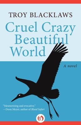 Produktbild: Cruel Crazy Beautiful World
