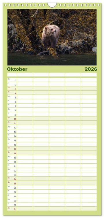 Produktbild: Familienplaner 2026 - Grizzlys und Geisterb&auml;ren - Glendale Cove, Kanada mit 5 Spalten (Wandkalender, 21 x 45 cm) CALVENDO