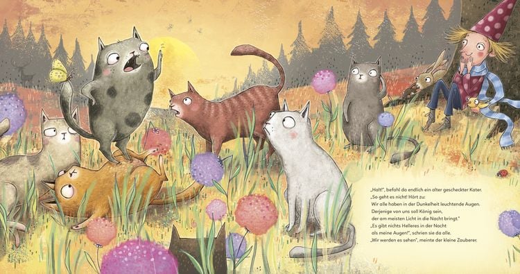 Produktbild: Der kleine Zauberer und der K&ouml;nig der Katzen