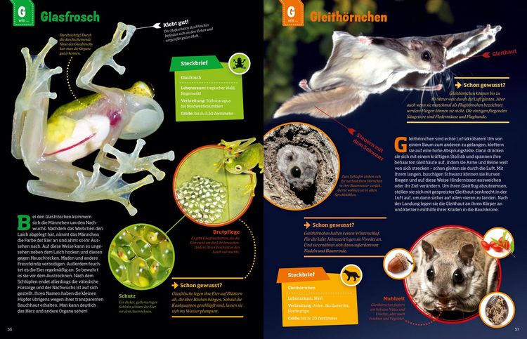 Produktbild: WAS IST WAS Geniale Tiere ... und ihre Tricks