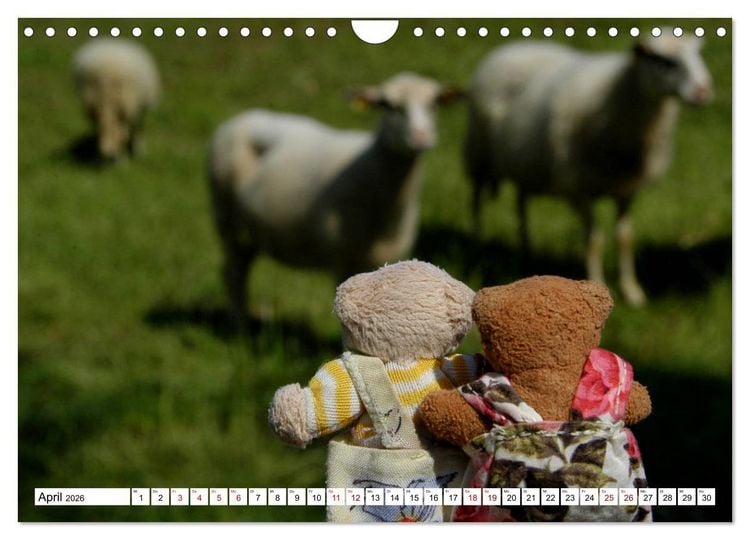 Produktbild: Die kleine Welt der Teddyb&auml;rchen (Wandkalender 2026 DIN A4 quer), CALVENDO Monatskalender