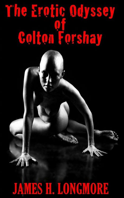 Produktbild: The Erotic Odyssey of Colton Forshay