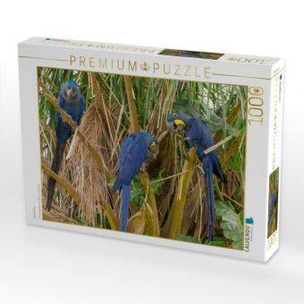 Produktbild: CALVENDO Puzzle Hyazintharas | 1000 Teile Lege-Gr&ouml;&szlig;e 64x48cm Foto-Puzzle f&uuml;r gl&uuml;ckliche Stunden